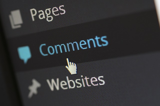 sekce „comments“